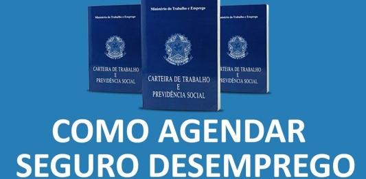 04 Formas de Agendar Seguro Desemprego Pela Internet