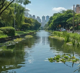 Descubra os Melhores Lugares para Conhecer em São Paulo na Próxima Viagem