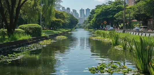 Descubra os Melhores Lugares para Conhecer em São Paulo na Próxima Viagem